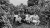 A group of coffee workers pose among coffee trees, five standing behind four kneeling in front
